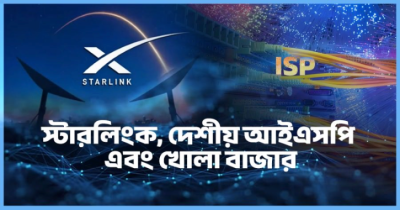 স্টারলিংক, দেশীয় আইএসপি এবং খোলা বাজার